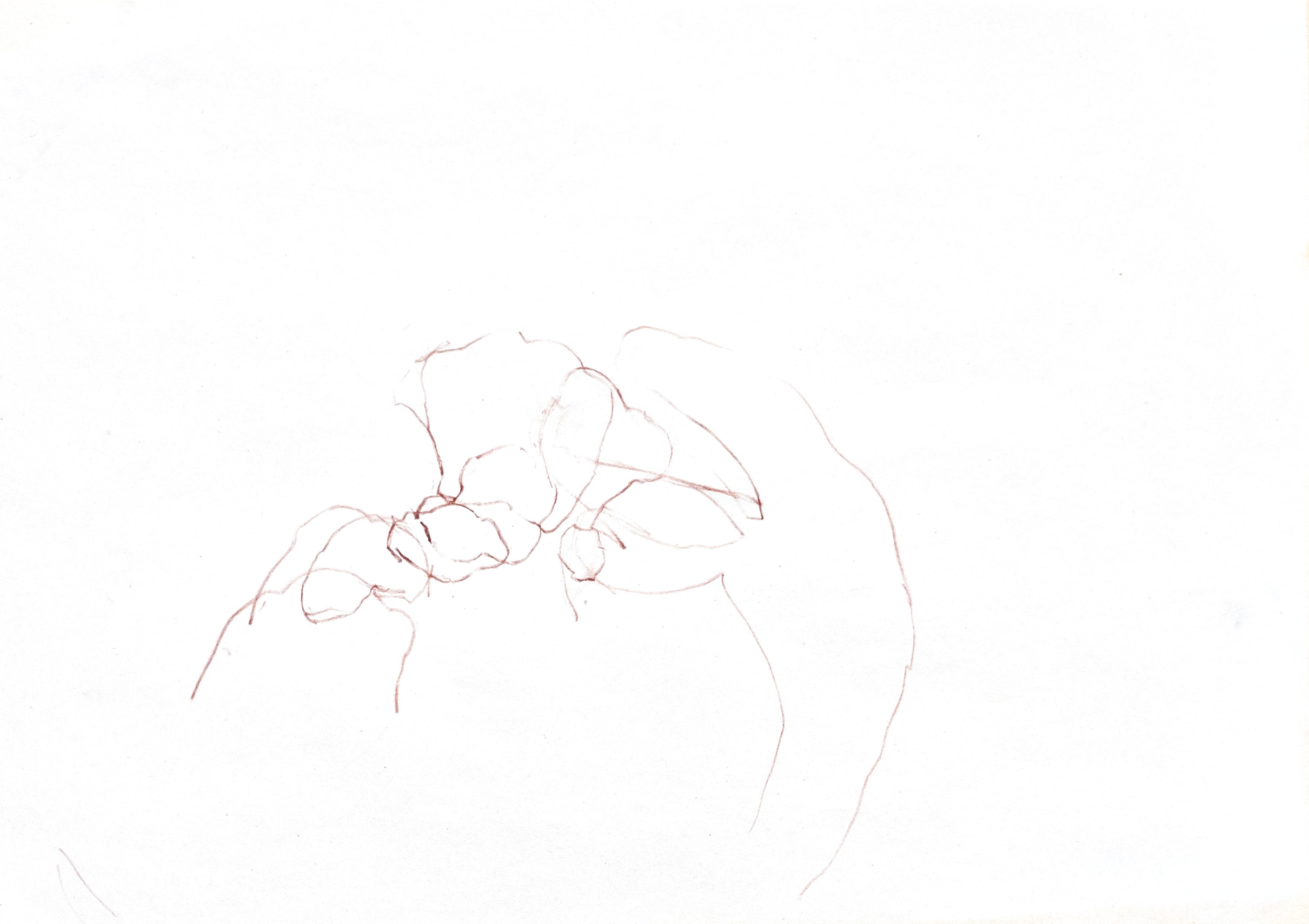 outlined drawing of a hand
